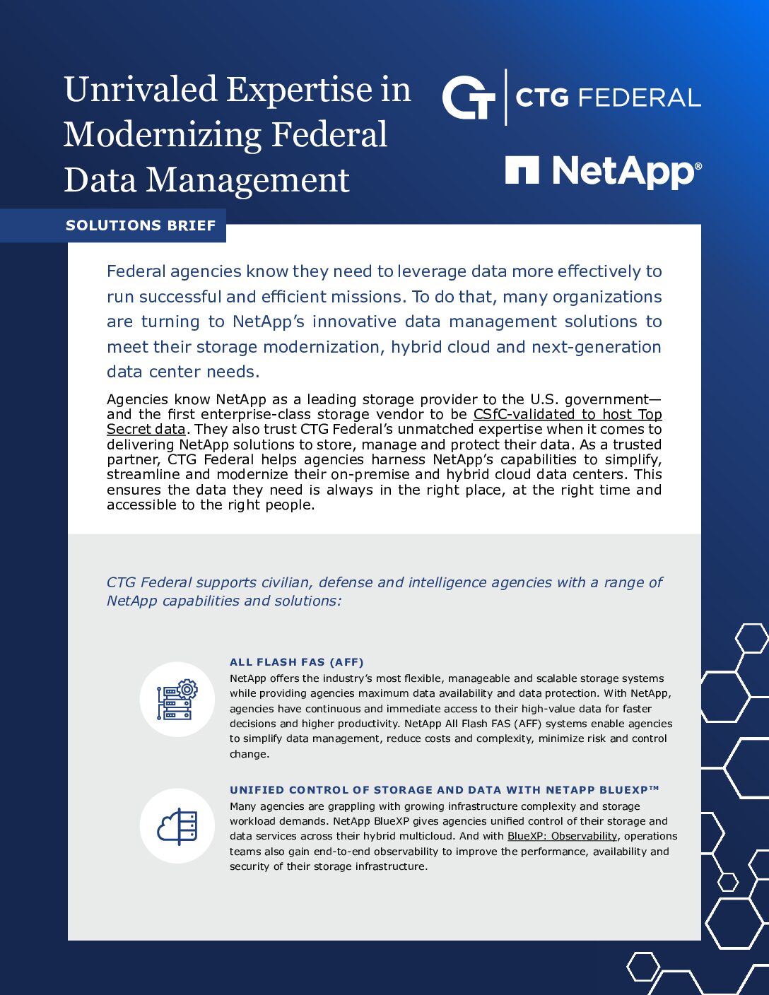 NetApp Solutions Brief download thumbnail