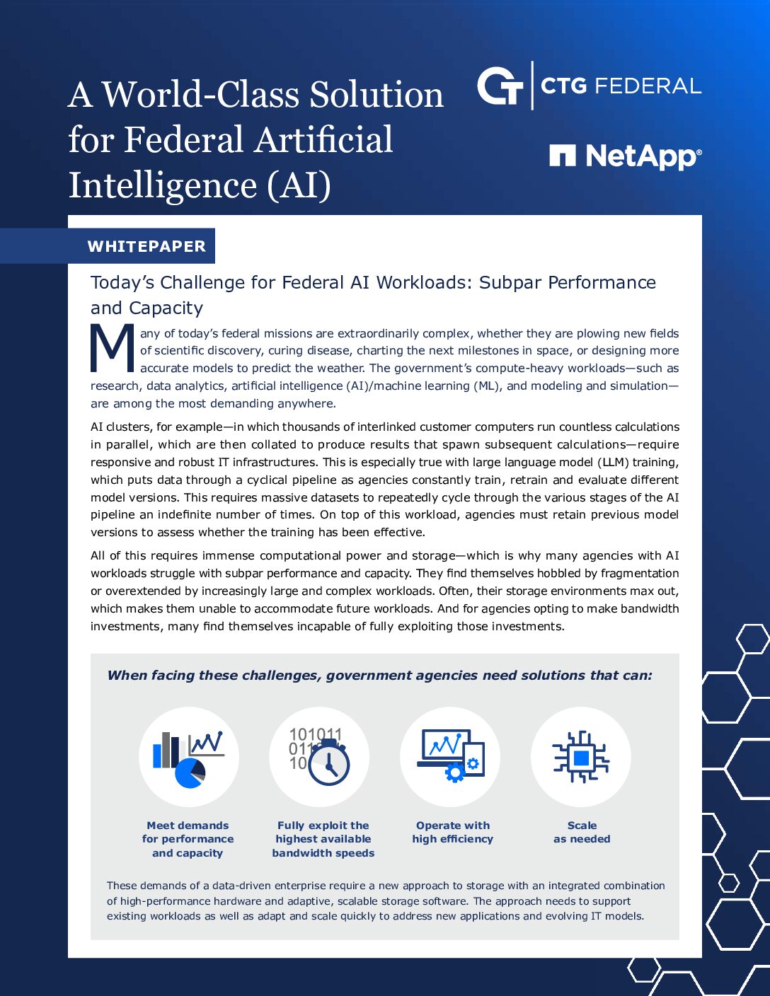 NetApp Whitepaper download thumbnail