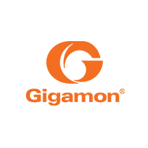 Gigamon